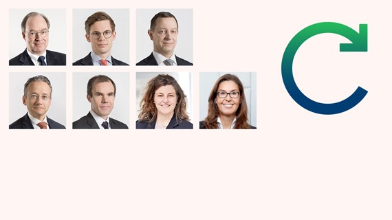Board of Directors Duties Members Committees 