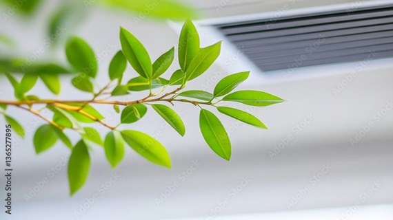 green-leafes.jpg (101 KB)