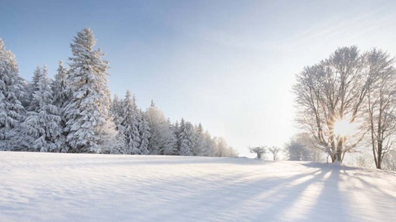 Caverion Winter SoMe.jpg (84.9 KB)