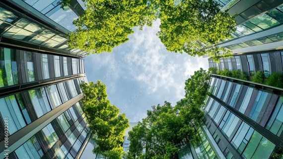 trees-in-circular-garden.jpg (99.5 KB)