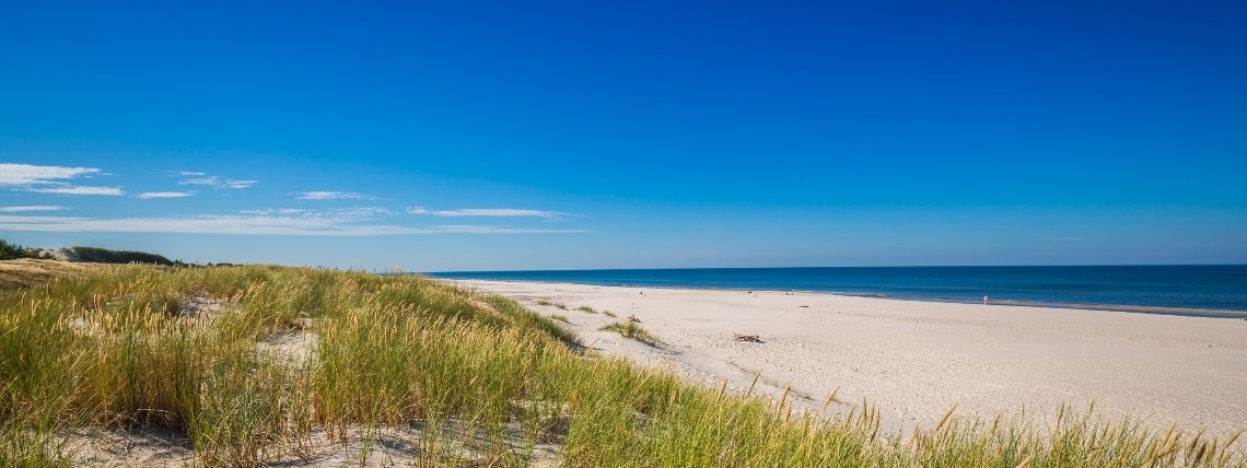 Beach at the Baltic Sea 