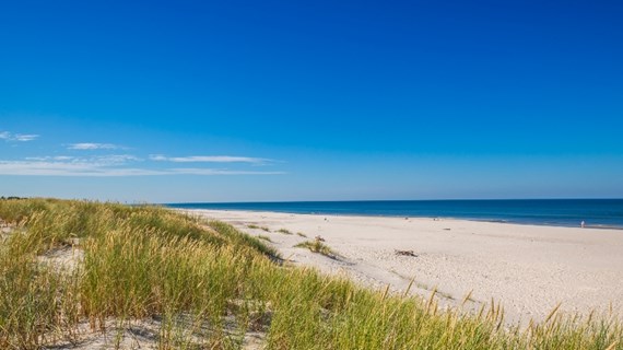 Caverion and the Baltic Sea